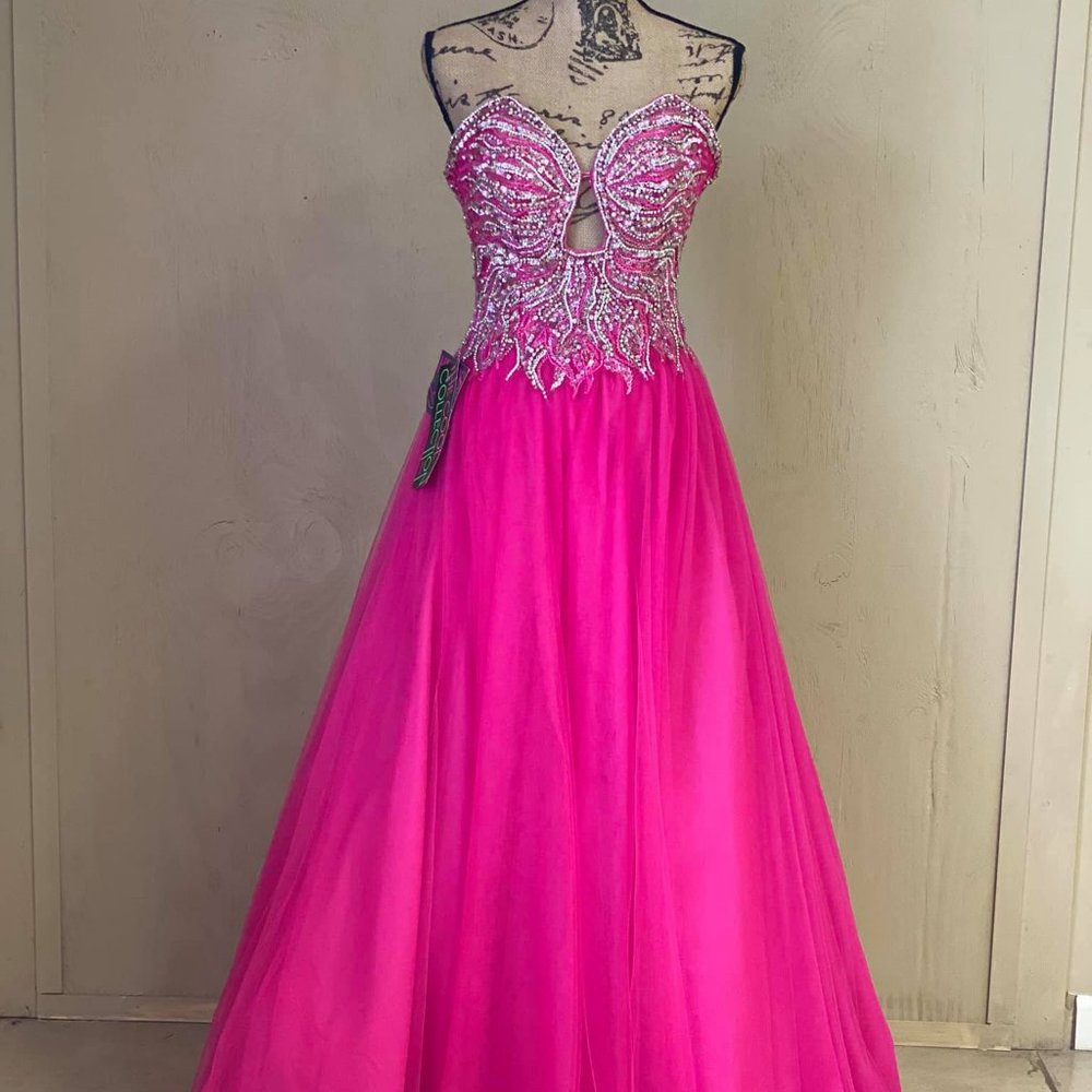 Terani Couture gown